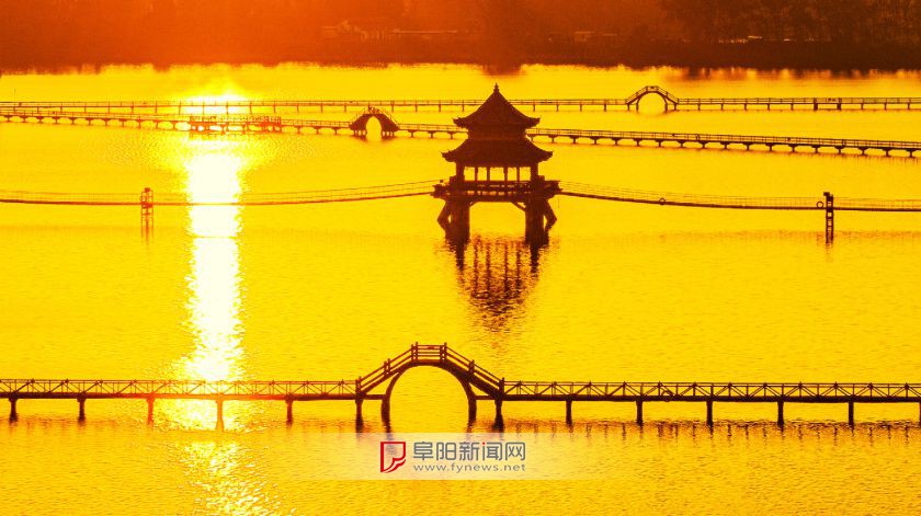 浮光掠金